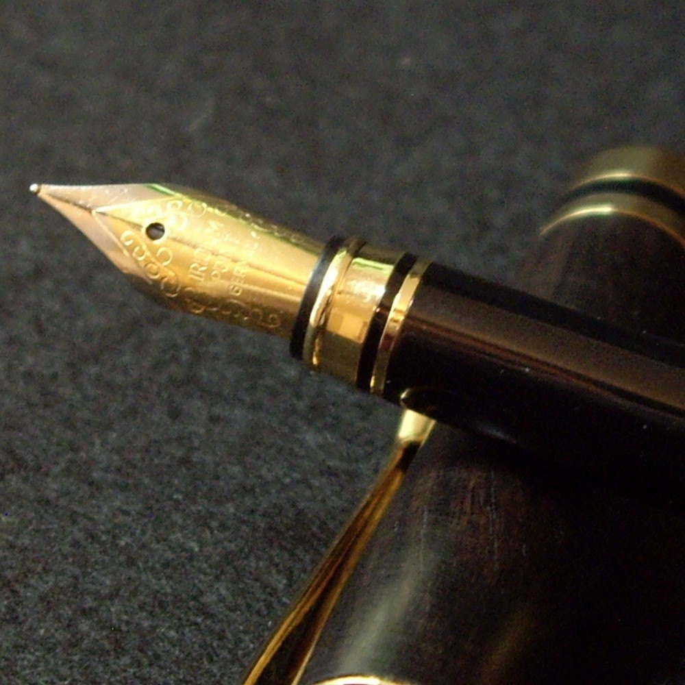 Black and White Ebony Fountain Pen - Handcrafted