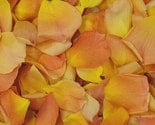50 Cups of Mango Premium Freeze Dried Rose Petals
