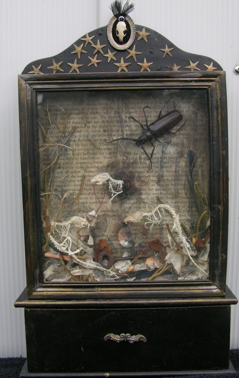 Victorian Style Shadowbox-'A Seaside Motel'- Mouse Skeletons, Starfish, Vintage Paper