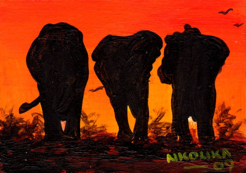 African Elephant Silhouettes in the sunset