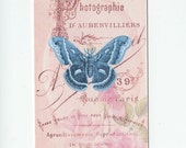 Photographie du Papillon or Photography of the Butterfly French 
Themed Pink Roses Gift Tags tied up with Crinkled Vintage Seam Binding 
plus an Extra Yard FREE