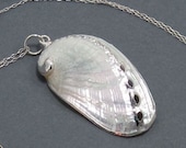 Sterling Silver Gilded Seashell Necklace - Siren's Song