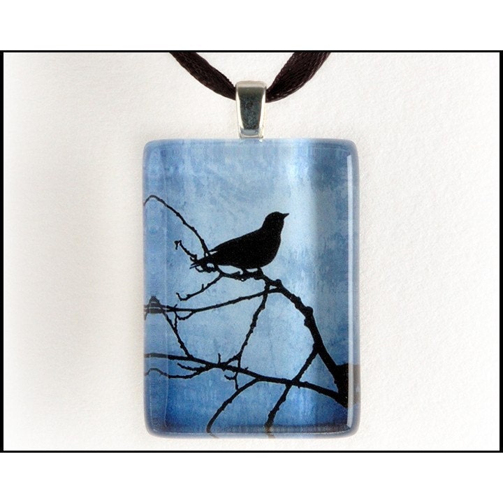 Night Bird - Glass Tile Photo Pendant - Original Photography