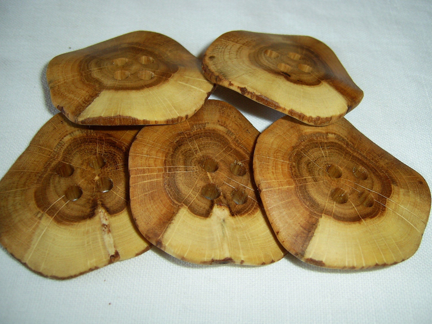 5 Handmade oak wood buttons, accessories