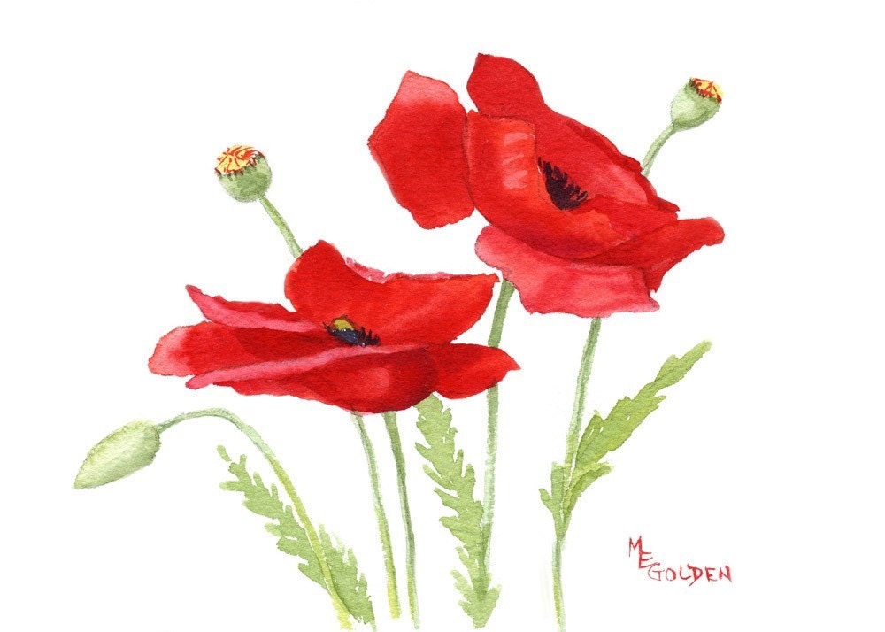 Small Poppies 1