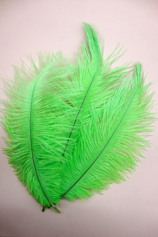 S A L E - 3 Lime Baby Ostrich Plumes.