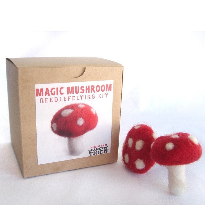 Magic Mushroom Needle Felting Kit