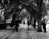 IN STOCK Rainy Day in Central Park - NYC 12x12 Photograph on Canvas