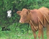 Peek a Boo Cow Bookmark