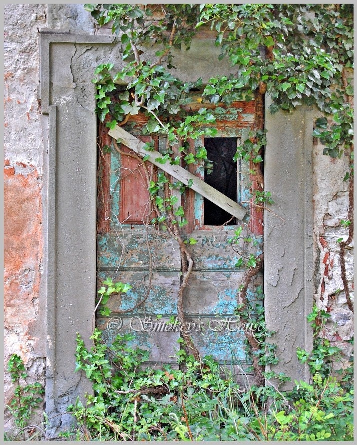 Doorway, Pontassieve, Italy - Ivy Door 8x10