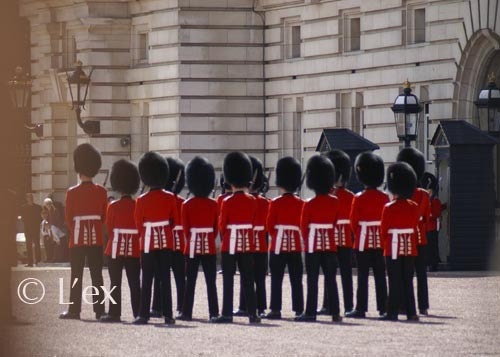 London Guards, Buckingham Palace 5x7 print