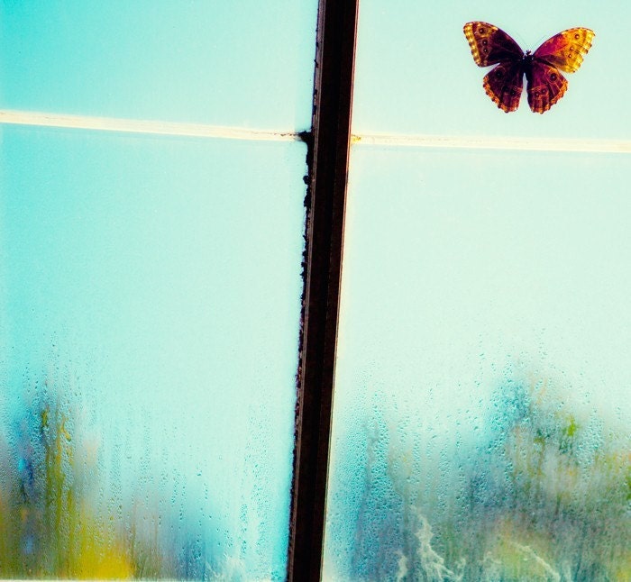 ON SALE - Almost Home - orange brown butterfly on glass with dew drops of water contemplating freedom baby blue summer sky aqua turquoise teal green trees - Fine Art Nature Photography Print 8x8