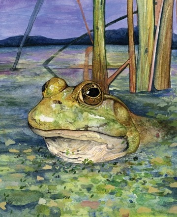 Fine Art Print Frog in a Bog