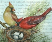 Framed Original Painting Nesting Cardinals