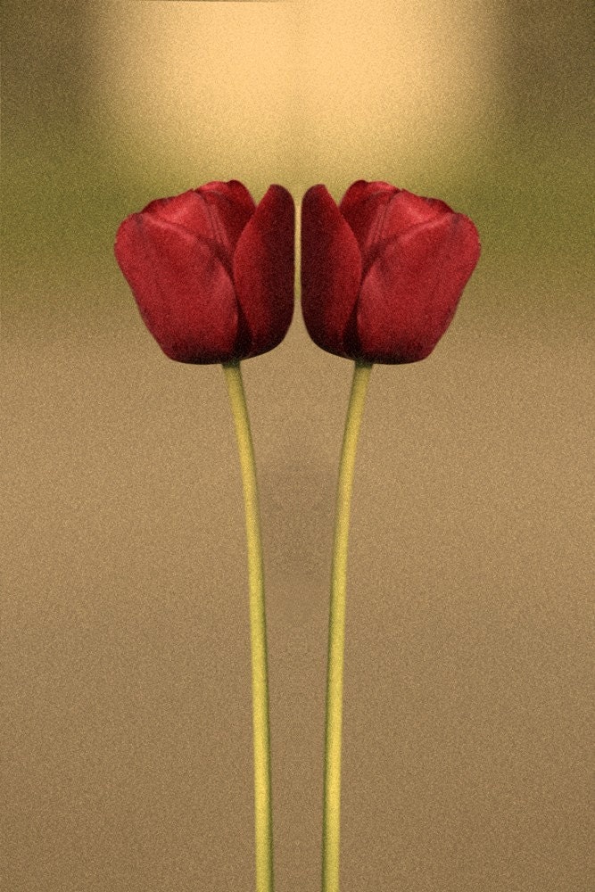 Mirror Red Tulips Textured Bokeh Fine Art Photo 8x12 Metallic Print Sale
