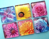 Bright Flora Magnet Set - Inch Square Glass - Vibrant Colors