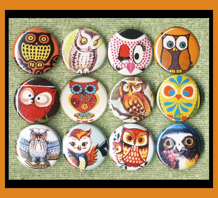 12 vintage owls 1 inch buttons or medallions or magnets SET B