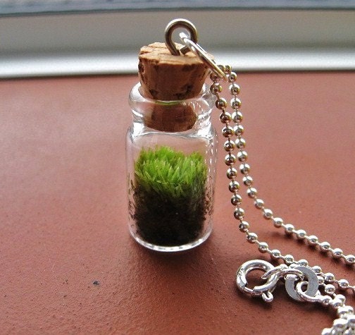 Free Shipping Today Only,  Good Luck Moss Pendant Necklace
