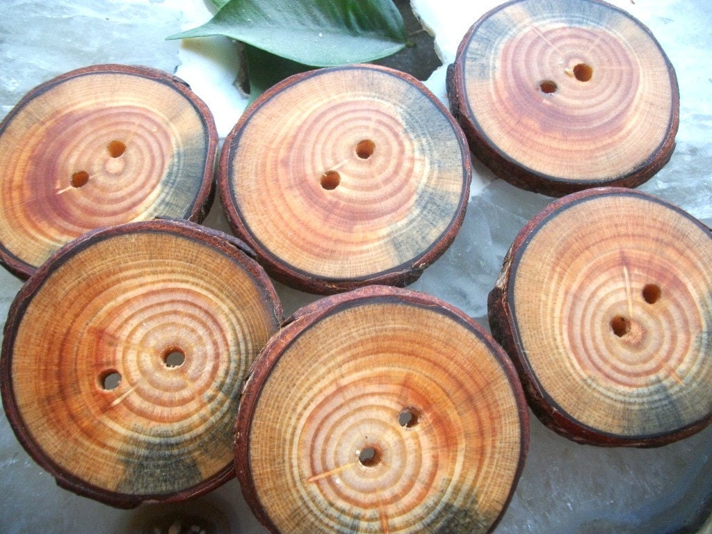 Beautiful Blue Spruce Wood Wooden Tree Branch Buttons... Lot of  6 ... 2 inch... 2 holes...OOAK for Fiber Projects