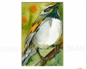 Bird Painting, watercolor of wildlife art Golden Winged Warbler 8x10" with FREE white mat