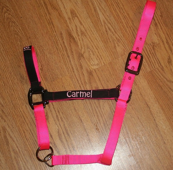 Hot Pink and Black Personalized Nylon Horse Halter ALL SIZES AVAILABLE