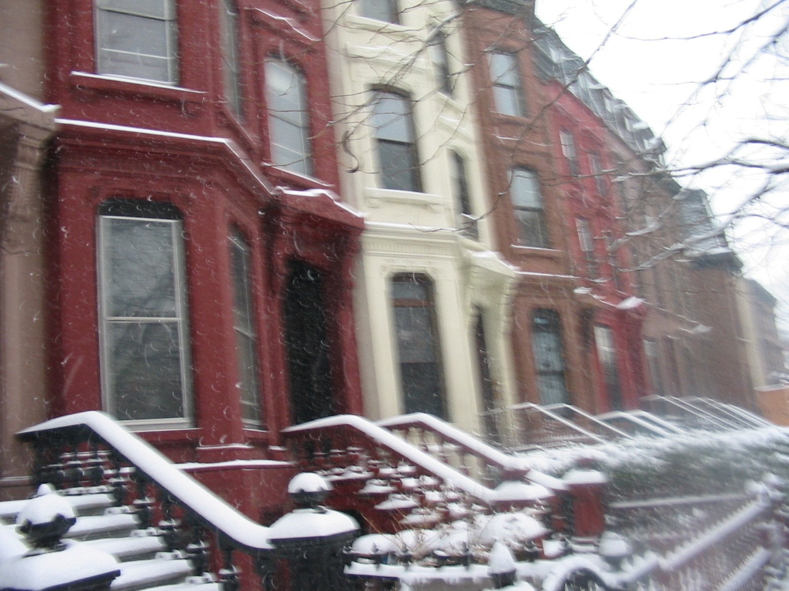 Brooklyn Snow, 8x10 Matted Photograph