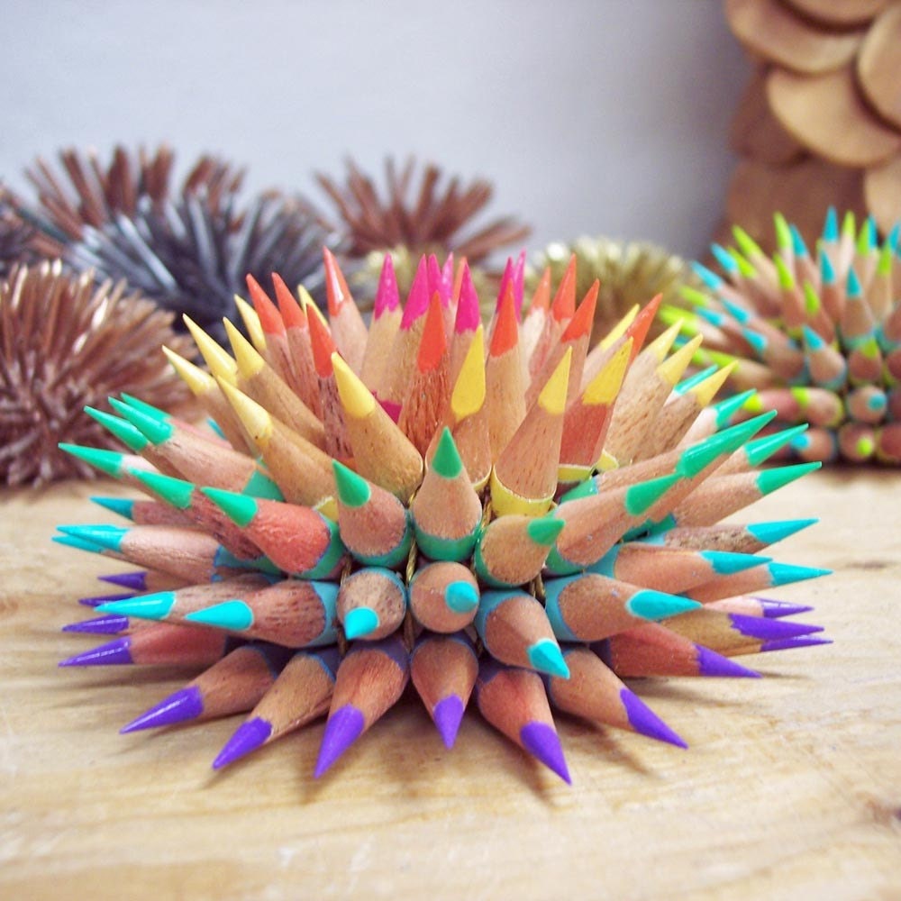 Pastel Rainbow Pencil Urchin