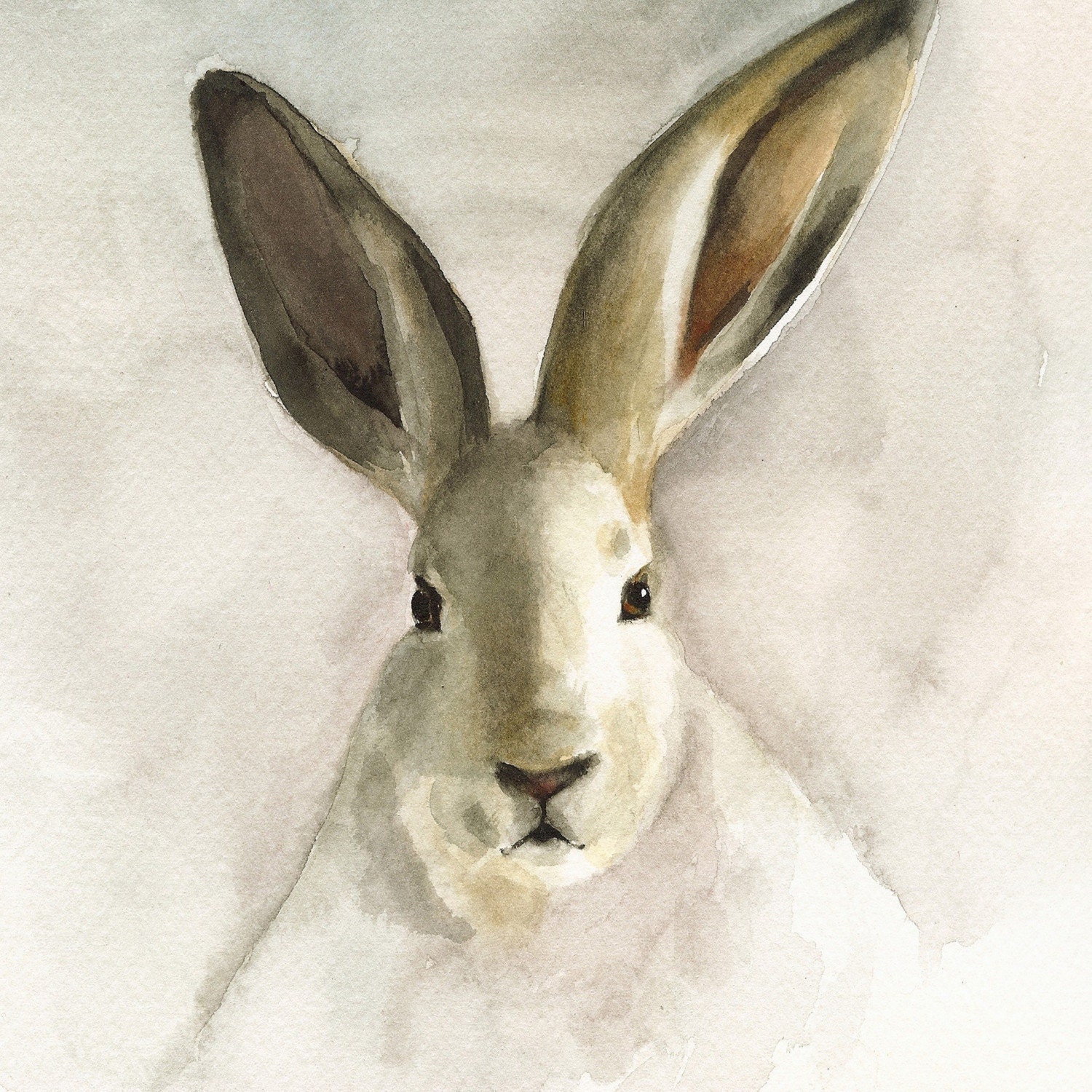 Rabbit Art - Blackberry - Print