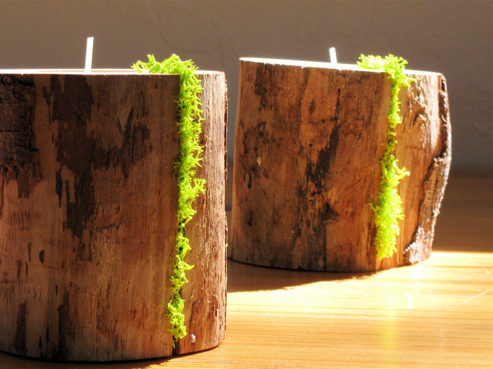 Driftwood and MOSS Candle Holders set of 2 for Green Living ... woodland (bx2.5/2)
