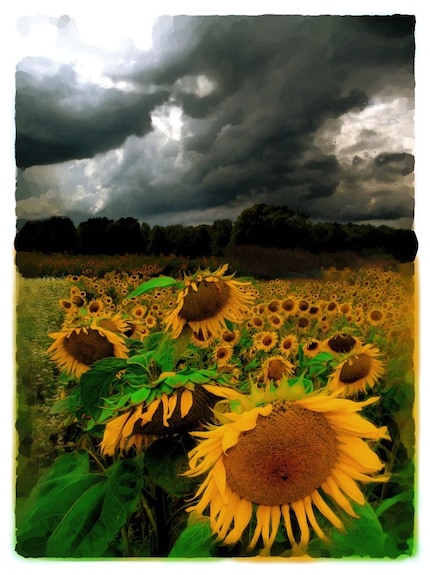 August storm , Original Signed Art Photograph 8.5x11 inches