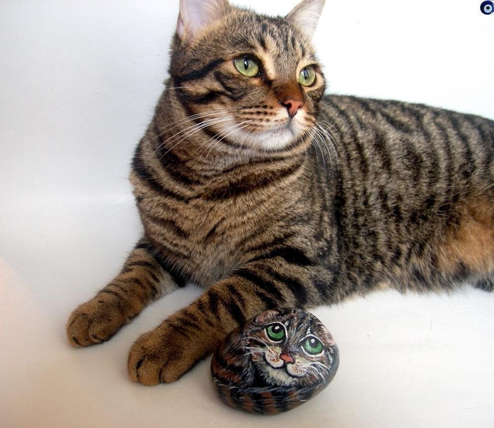 Your Pets 3D Stone Painting - MADE TO ORDER - Personalized Custom Painted Rock Pets