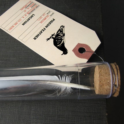 The Estate of Things chooses Test Tube Pigeon Feather