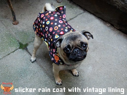 Blue Paisley Upcycled Umbrella Dog Rain Coat, $30 @etsy.com