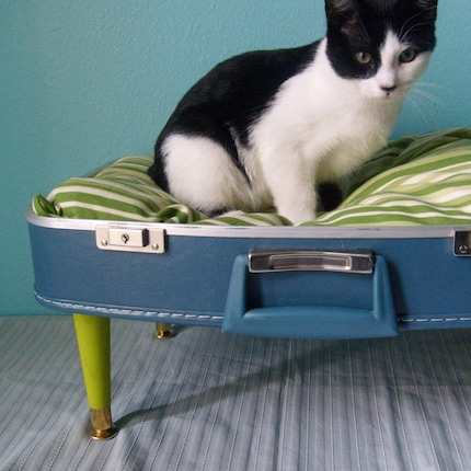 Labels: cat bed ideas, suitcase cat bed