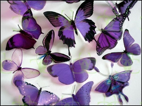 Mixed Purple 3D Transparent Butterflies from clearcutcrafts2007