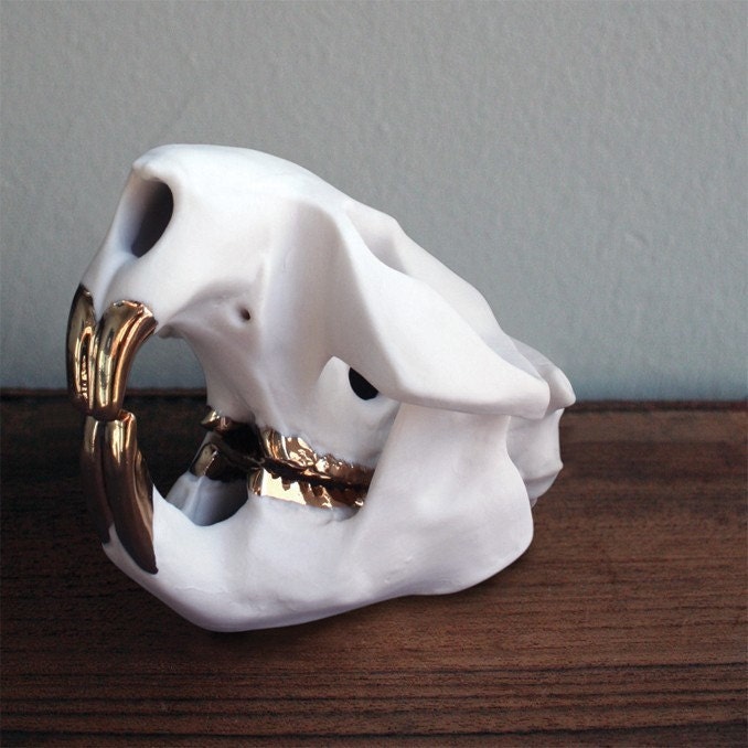 Porcelain Beaver Skull with 18k gold luster teeth