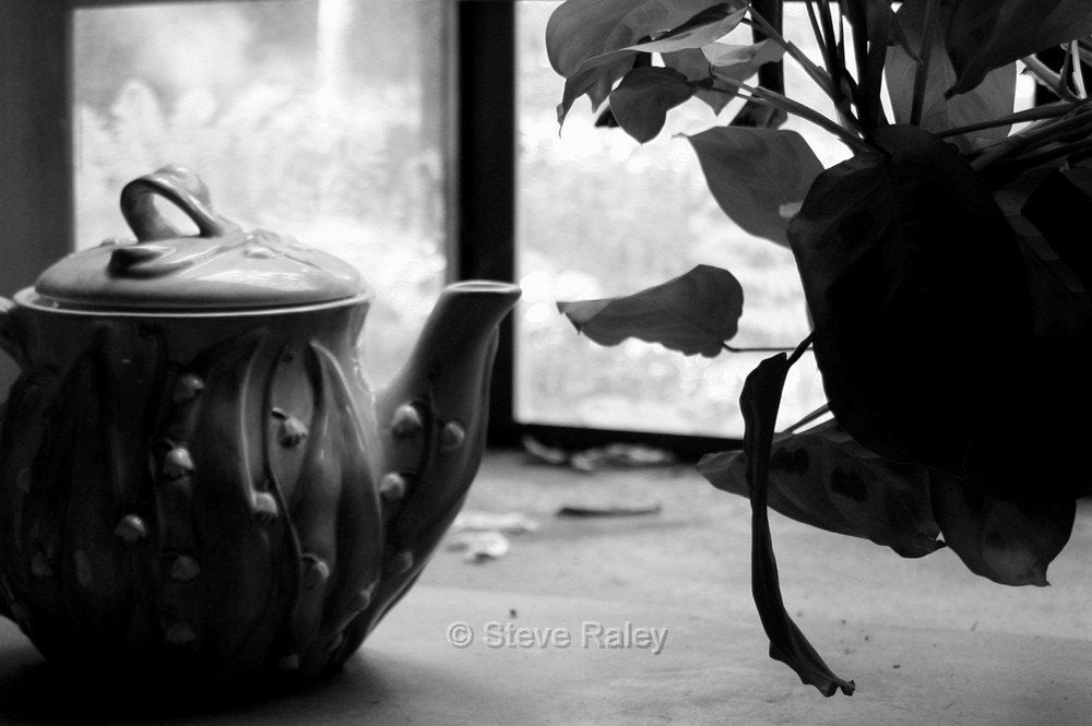 Tea Pot with Prayer Plant (Still Life)