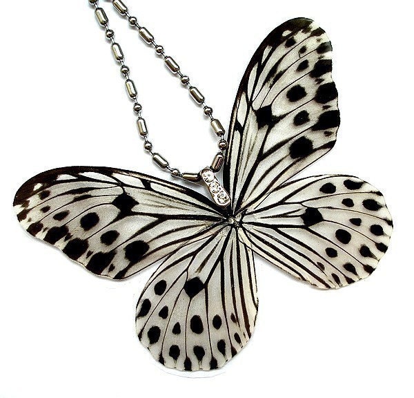 REAL butterfly wing pendant by Butterflysenses