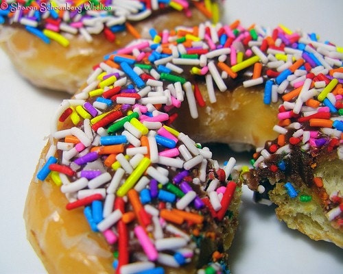 Donuts with Rainbow Sprinkles - 8x10 Fine Art Photograph