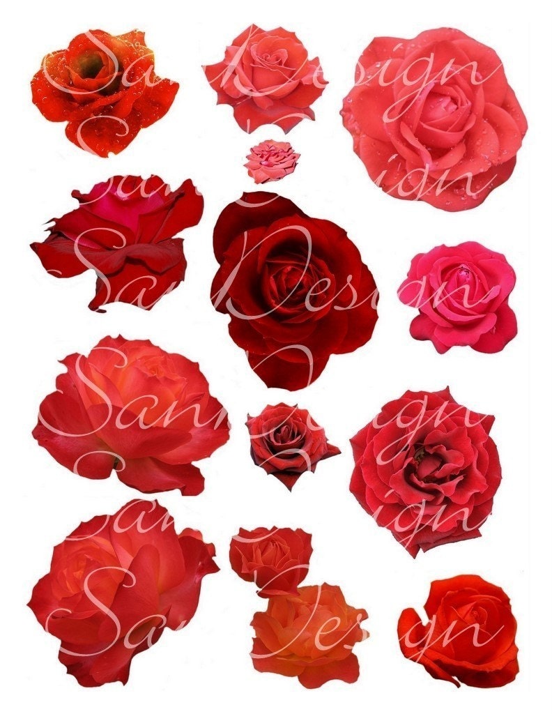 Red Roses Digital Collage Sheet No. 47