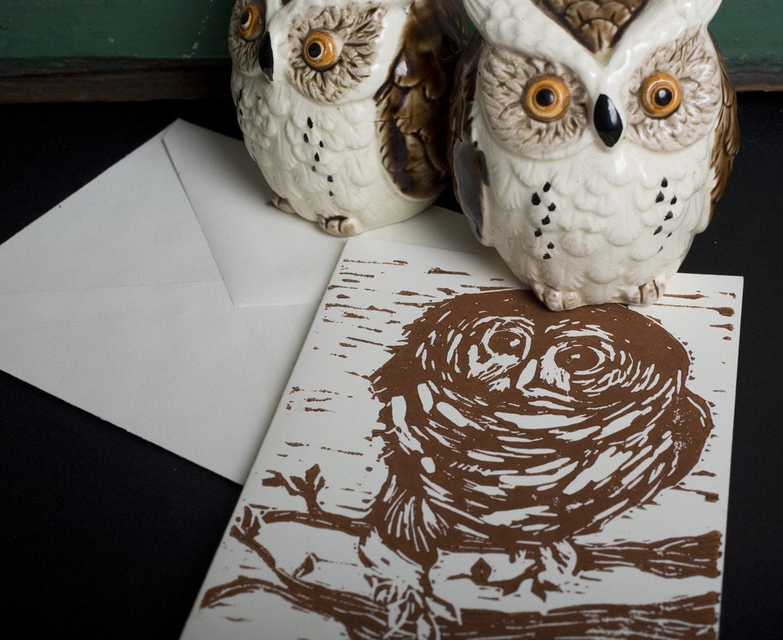 Barred Owl Note Cards