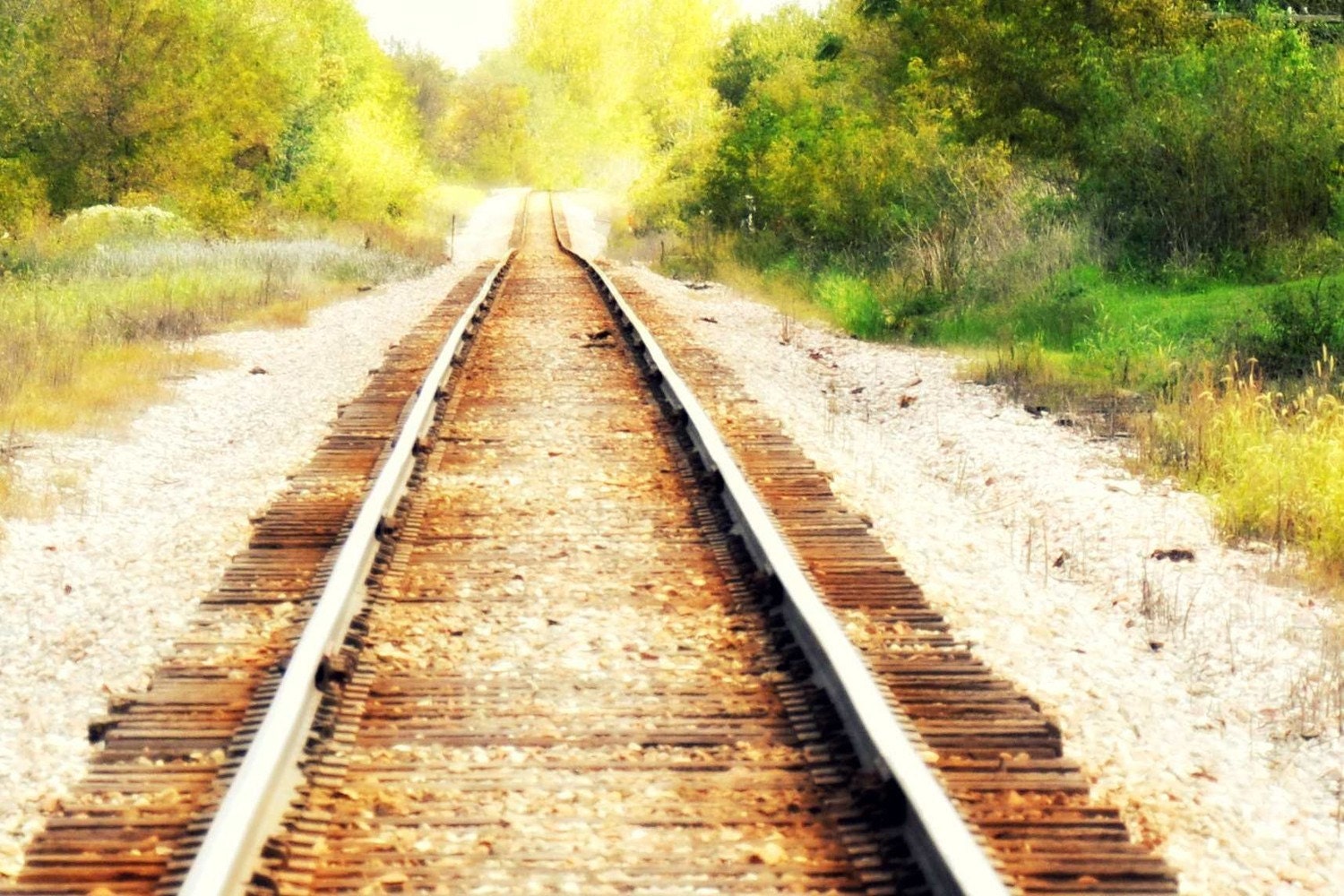 Railroad to Nowhere