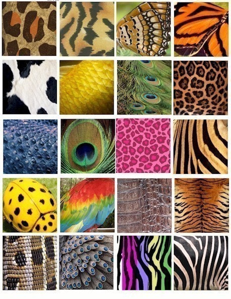 animal patterns in art. patterns clip art collage