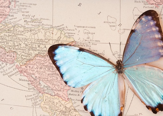 Vintage map of Central America with Blue Morpho