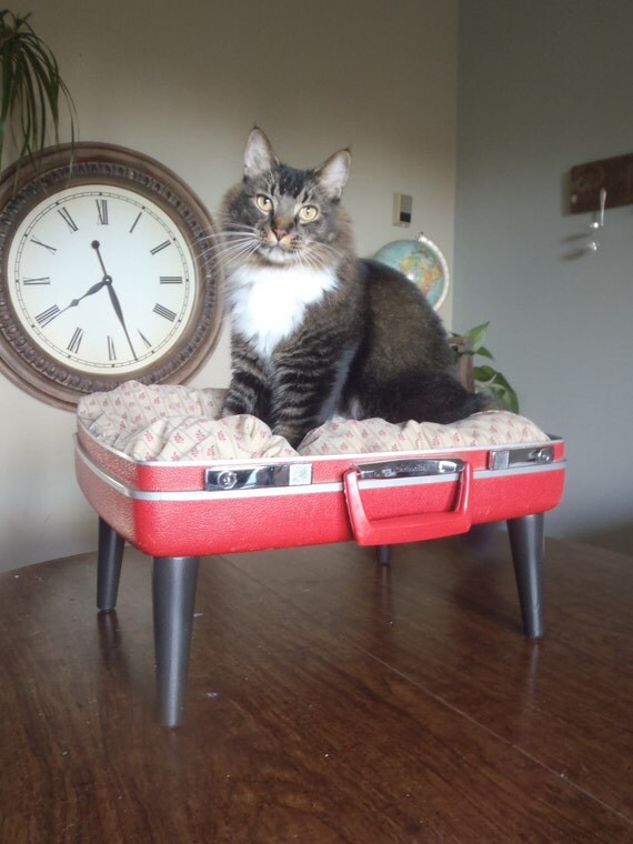 Lovable Luggage Pet Bed - Reds and Browns - 2 dollars goes to tlccatrescue