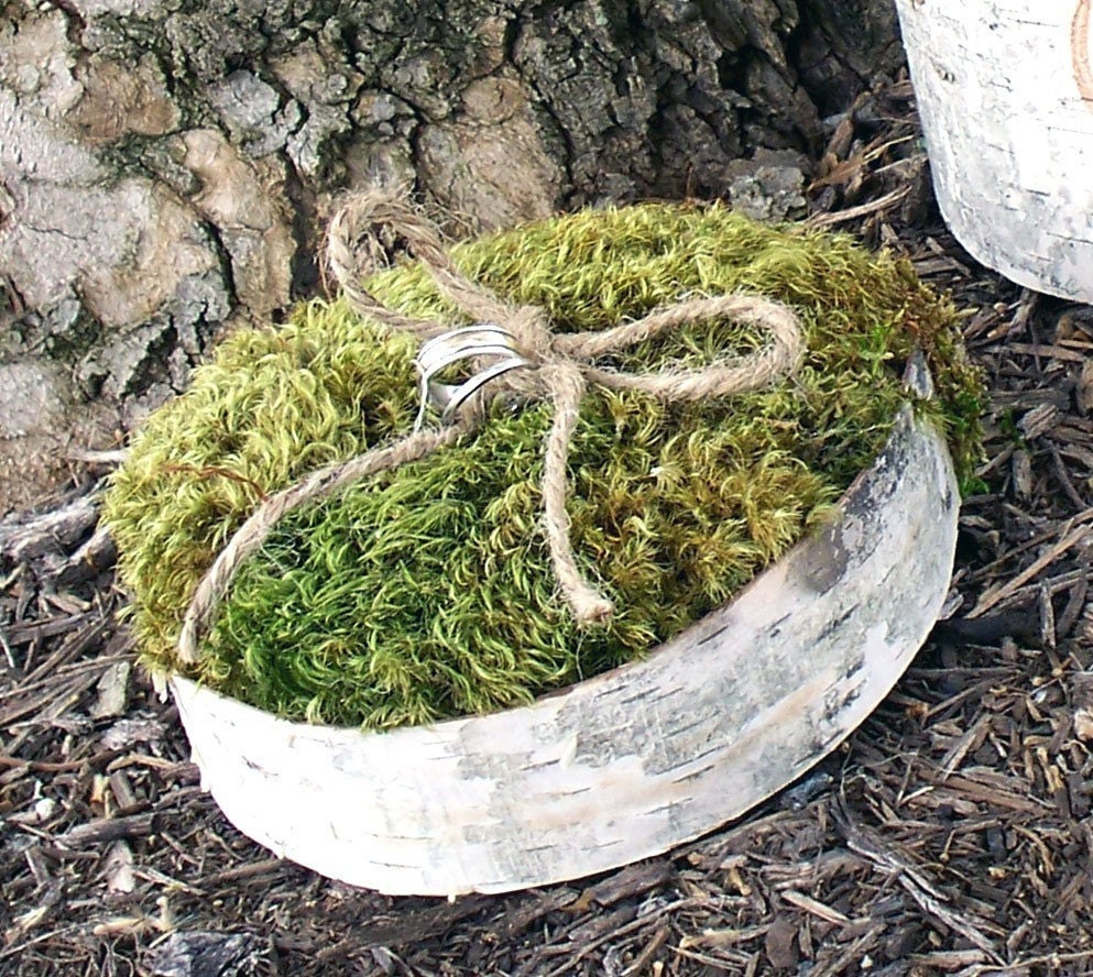 Rustic Birch Bark and Moss Wedding Ring Bearer Pillow