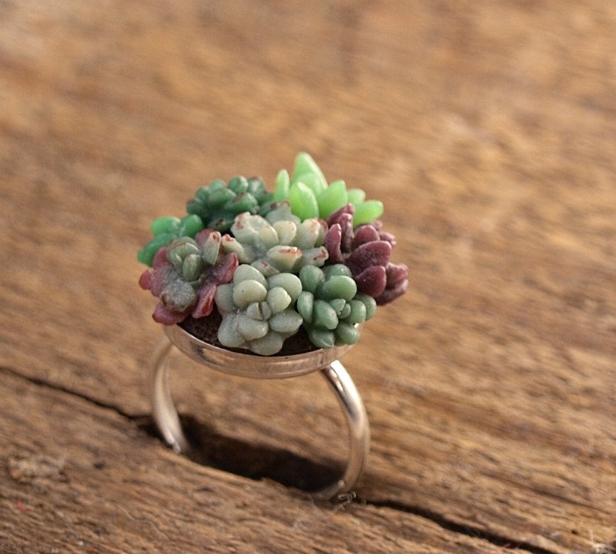 Tiny Succulent Garden Ring
