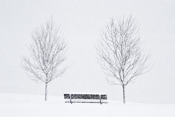 Bench and Trees in Blizzard 8x12''