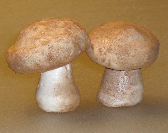 Cocoa  Dusted Meringue Mushrooms - Crimini Look-a-Likes