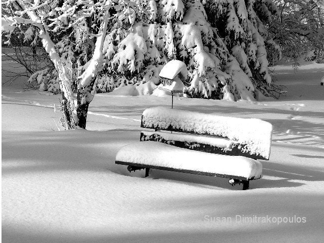 Winter Morning, 8 x 10 fine art photography print